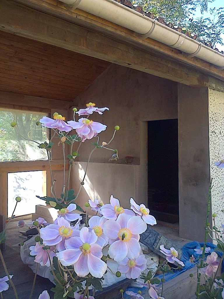 Teulat-20131017-00327