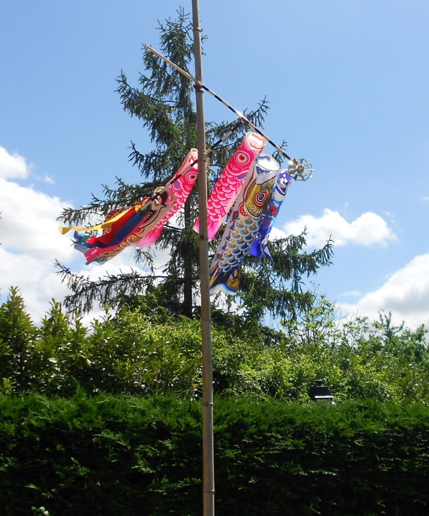 5 mai: "koinobori"... la fête des garçons. Les carpes koi volent au vent.