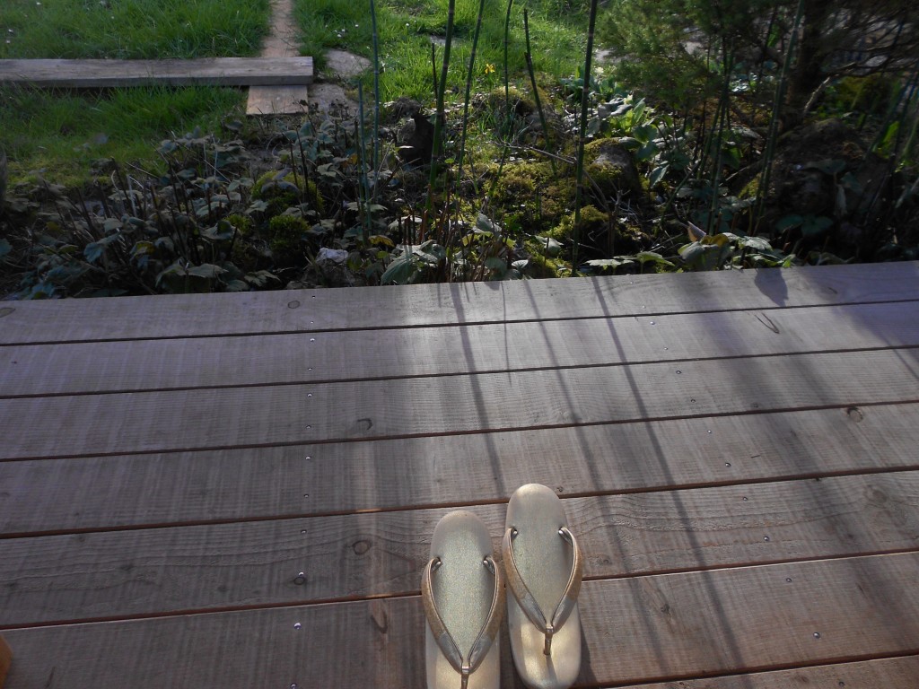 la coursive "engawa" et les mousses du jardin