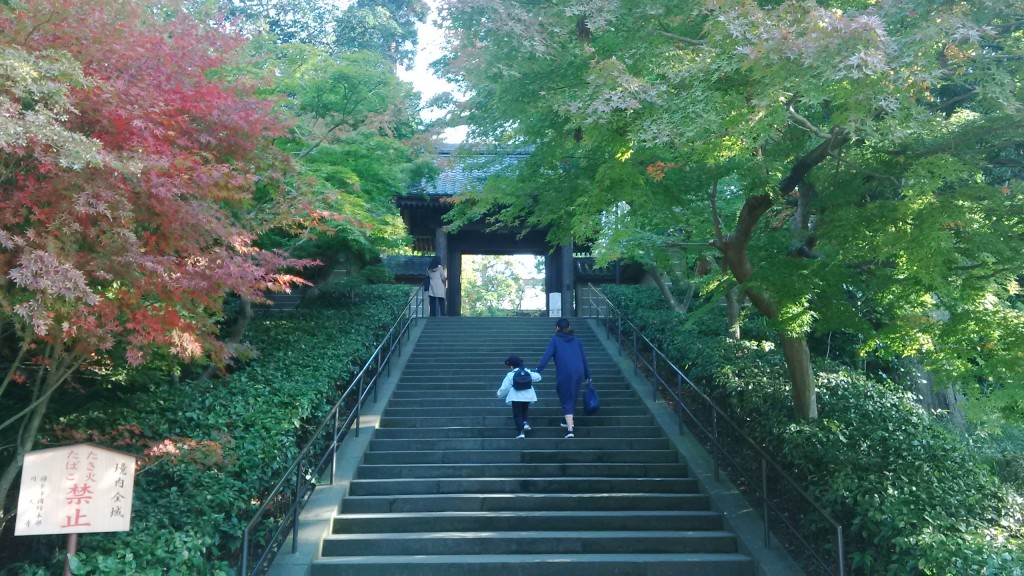 le grand escalier qui mène au temple