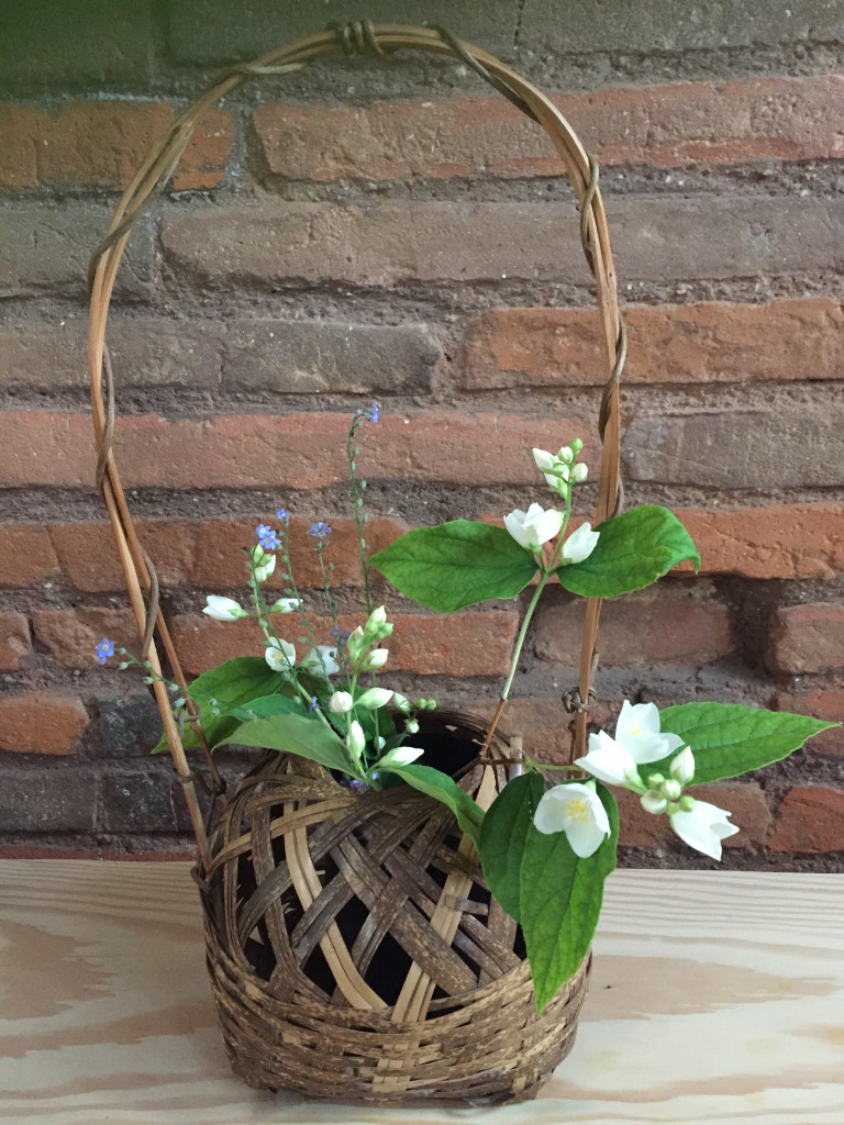 chabana du jour: seringa (jasmin des poètes) et myosotis dans un panier de bambou tressé