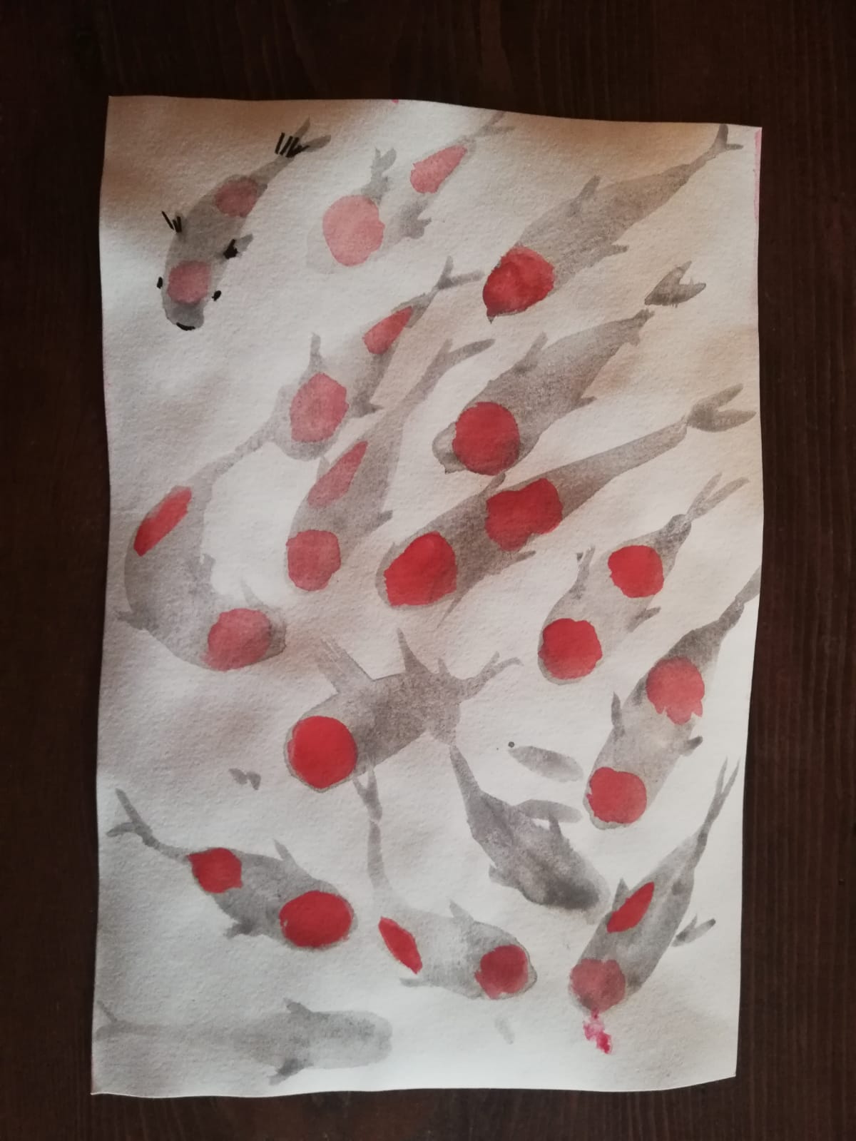 étude de carpe koï...