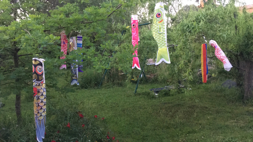 5BAA8894-6FA6-46DA-A66B-B4A462021166