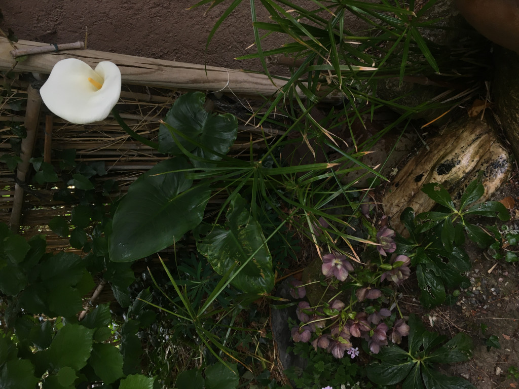 015A99C1-FCD0-4845-A908-7BC4A42F9ADF