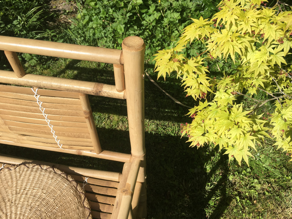 14EE4CF4-255B-431A-AC20-56CA5D36FF17