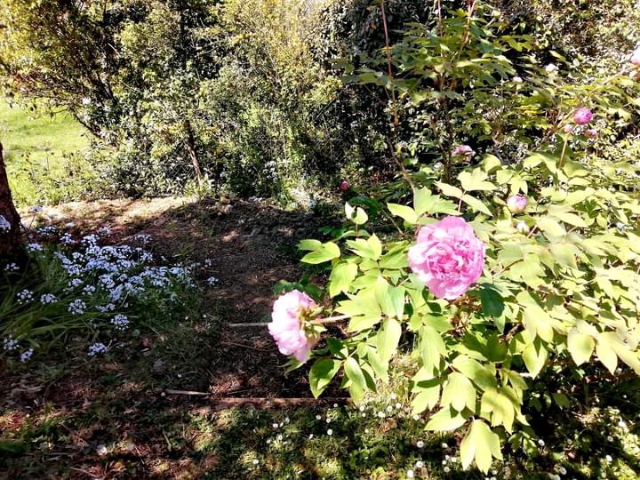 2E8302FF-F71C-4B09-9C23-D8BBAAEC7F98