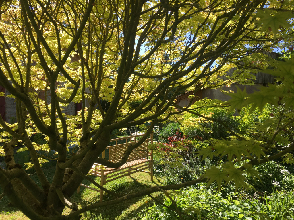 3D448C4C-C4C9-4D94-B11C-4B89169C79F6