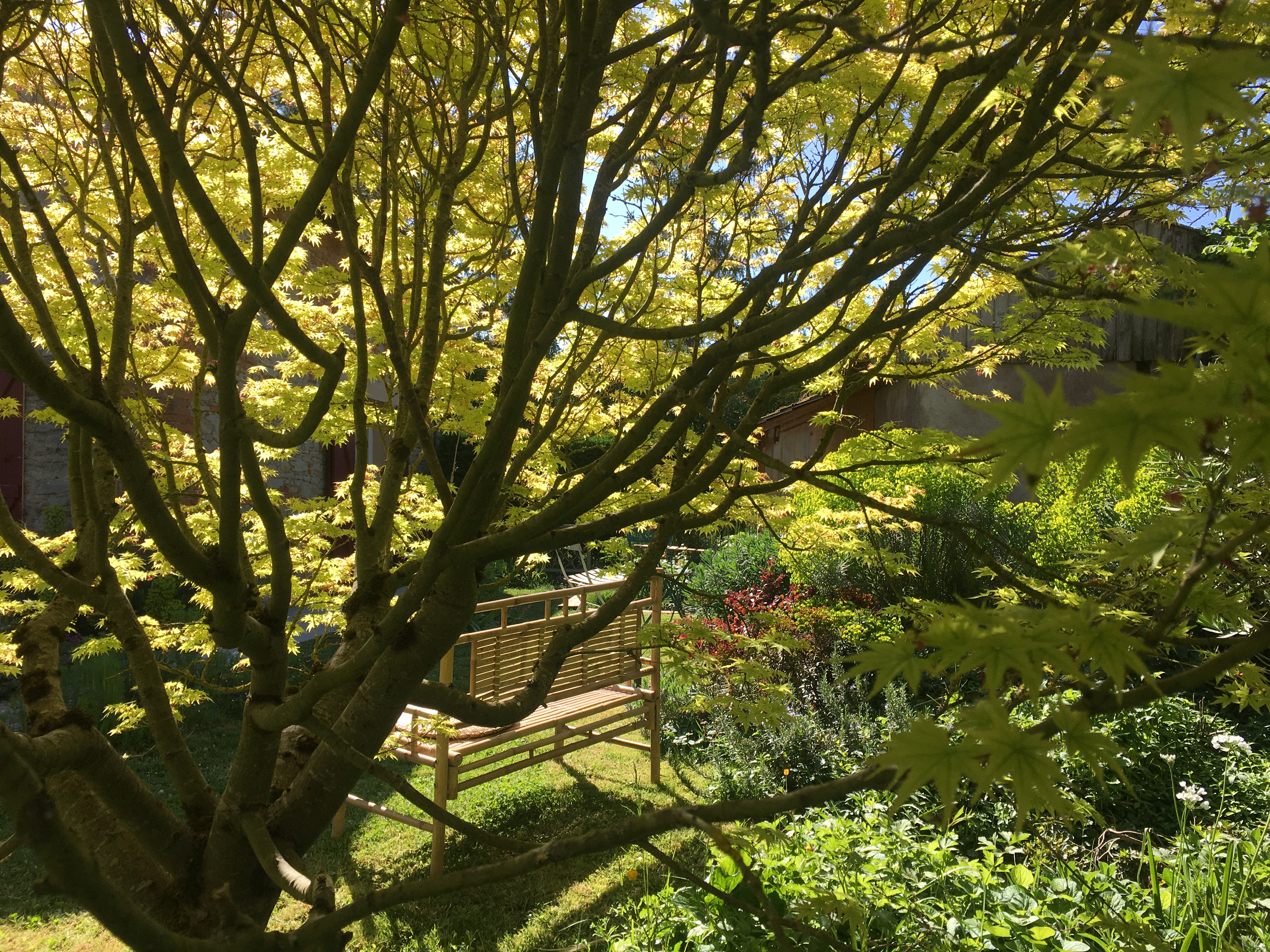 3D448C4C-C4C9-4D94-B11C-4B89169C79F6