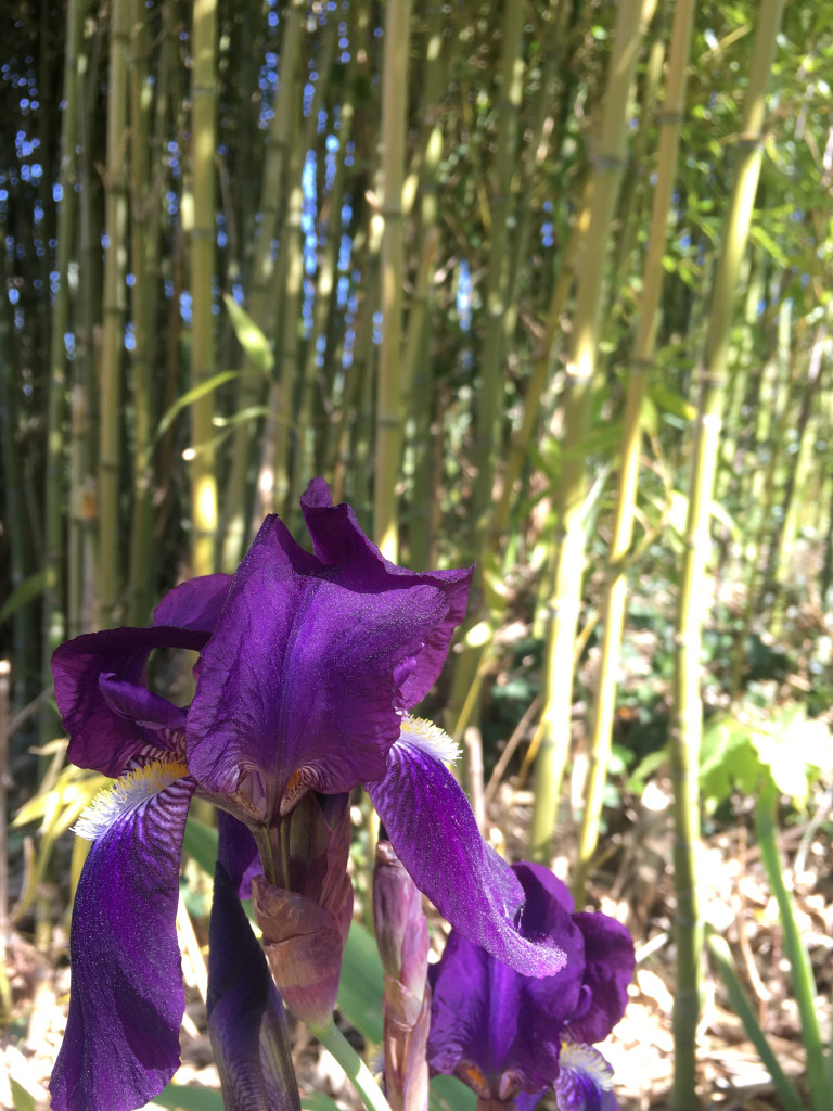 50416BAA-73F9-479F-B068-E1BAAC43E5E2