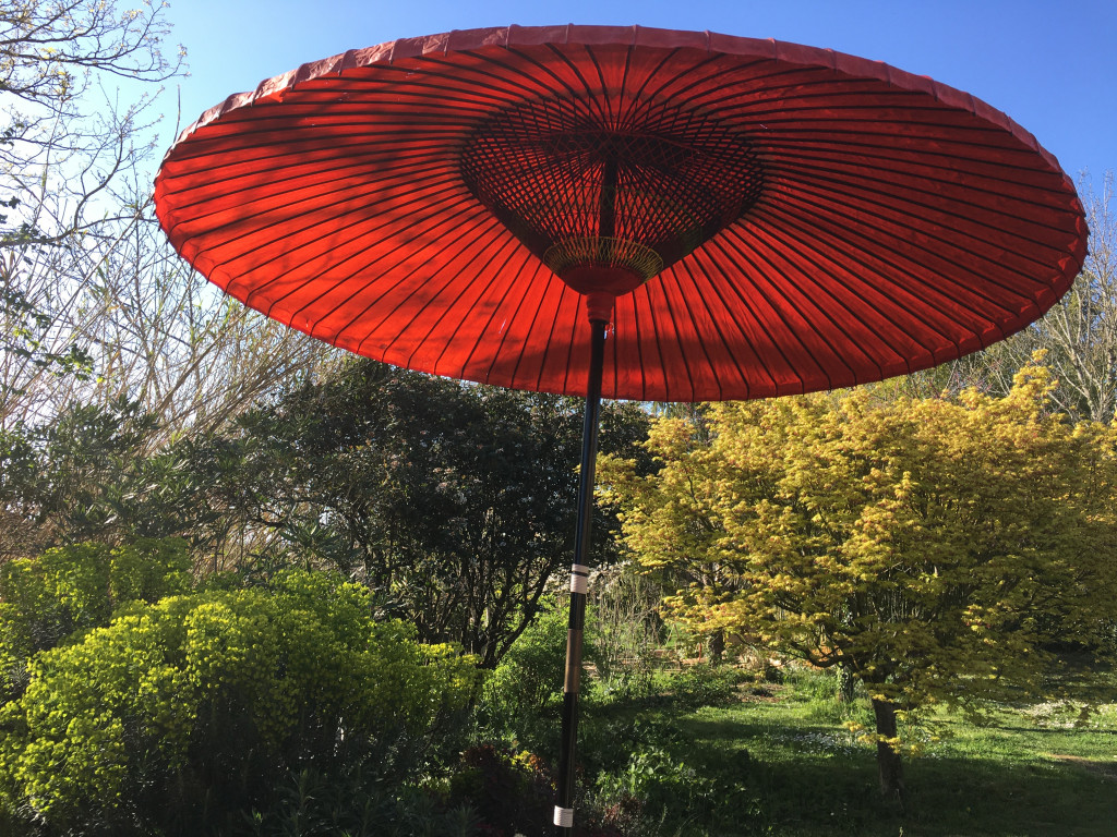 642A4CF6-11AE-46E7-B414-E31677E65E80