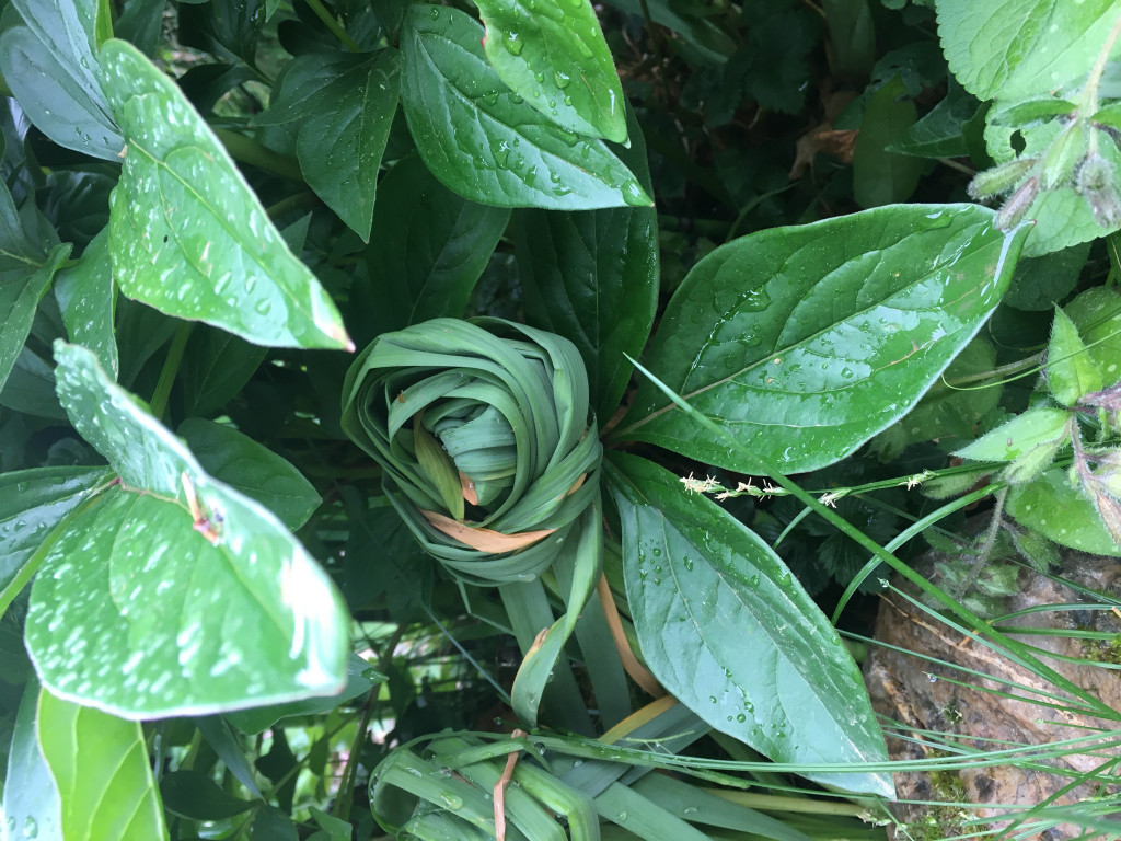 B371800F-90E4-43BA-8940-7735A220BE6F