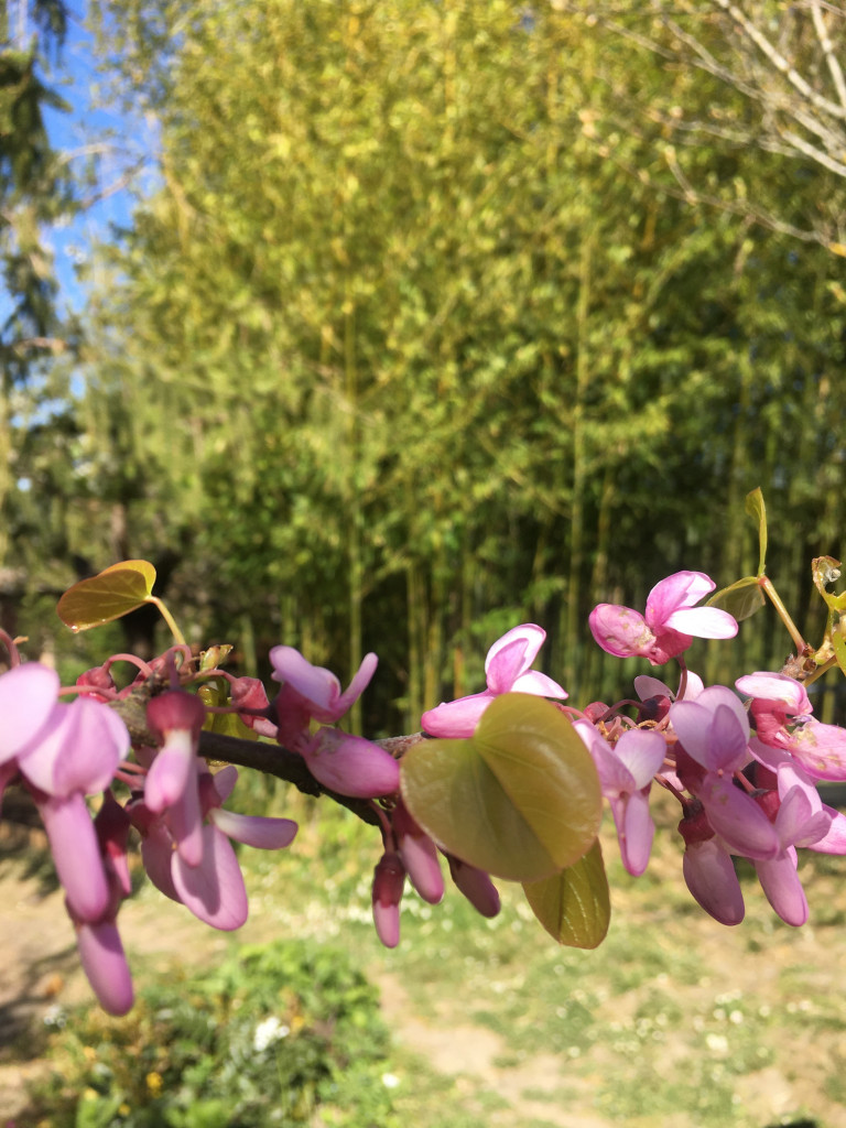 C87A46B4-A6BF-4428-98B8-22B600751A50