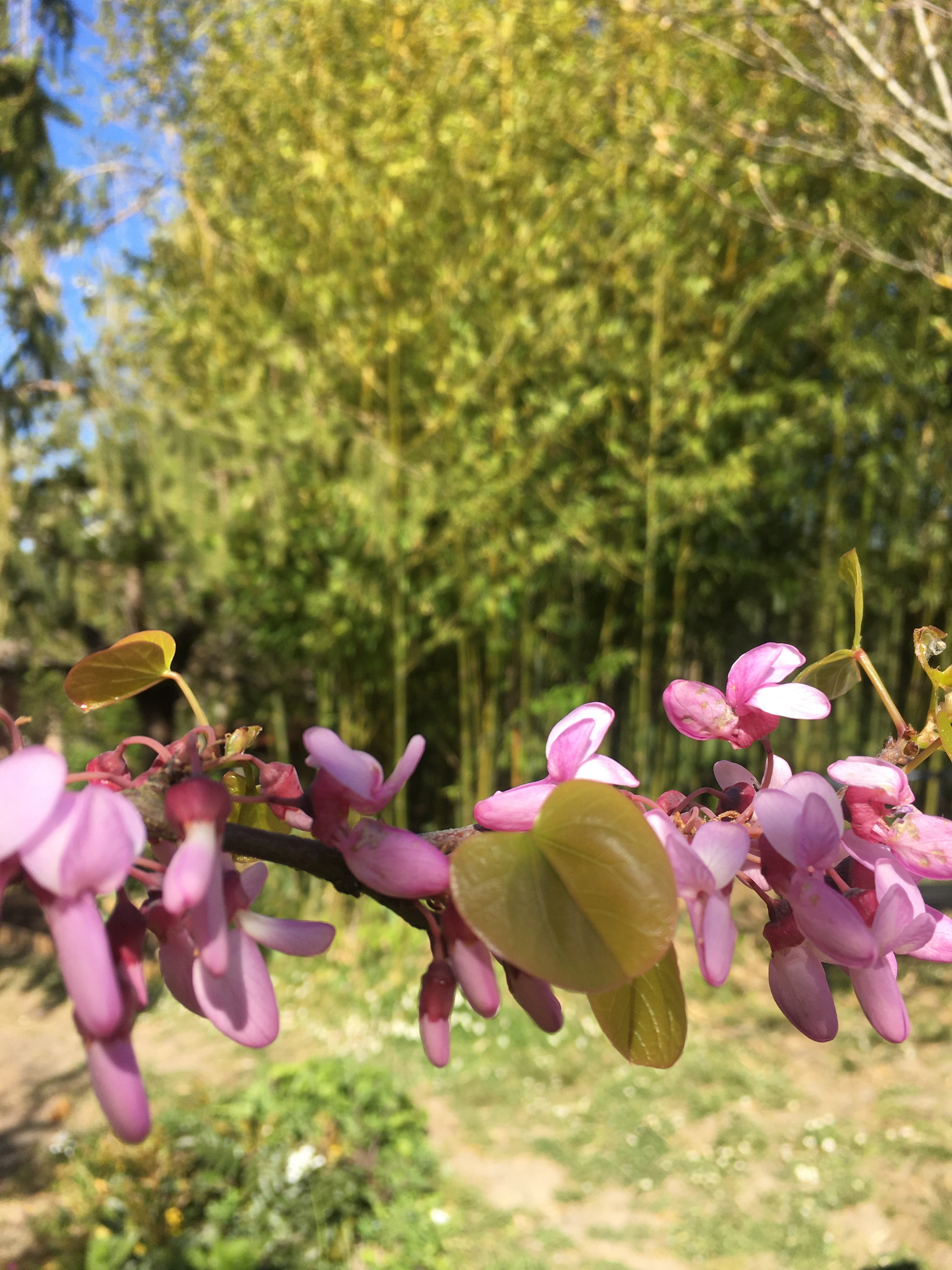 C87A46B4-A6BF-4428-98B8-22B600751A50