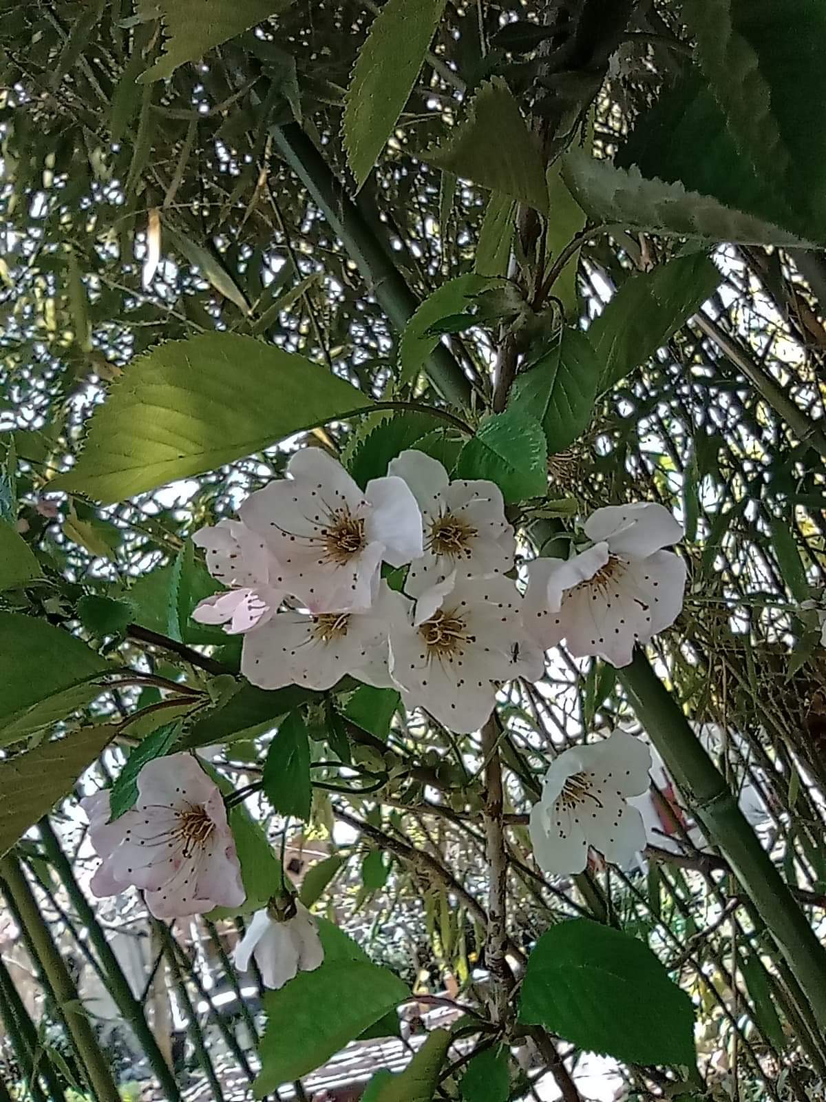 D85F455B-3998-44EB-8FDC-9C8EBB8595ED