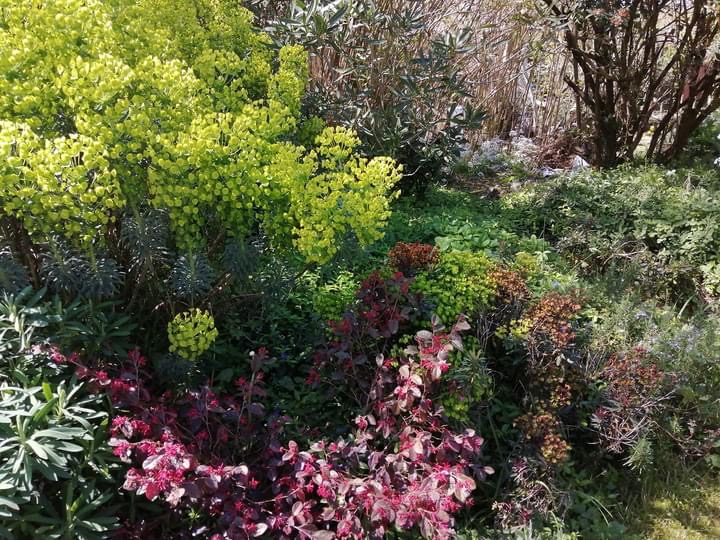 EB1A7C68-6441-4972-9F30-D3EAB00082AB