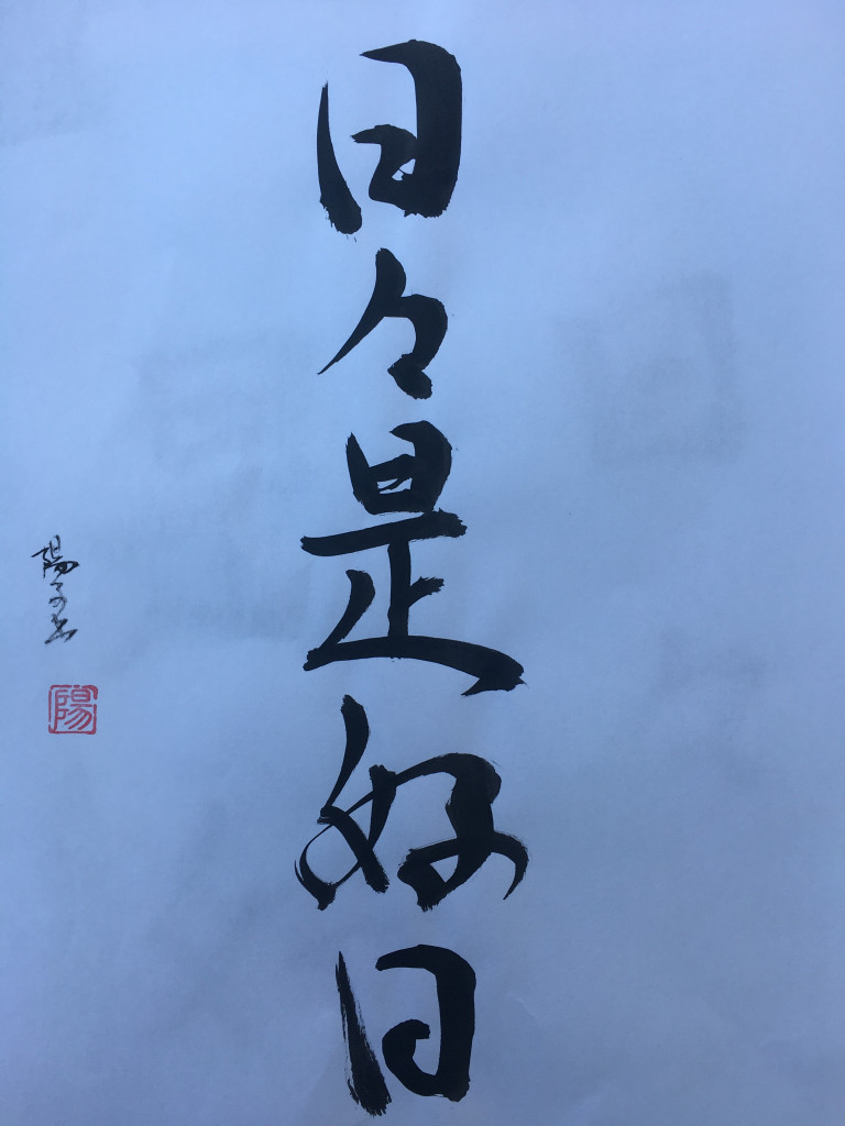 nichi nichi kore koujitsu