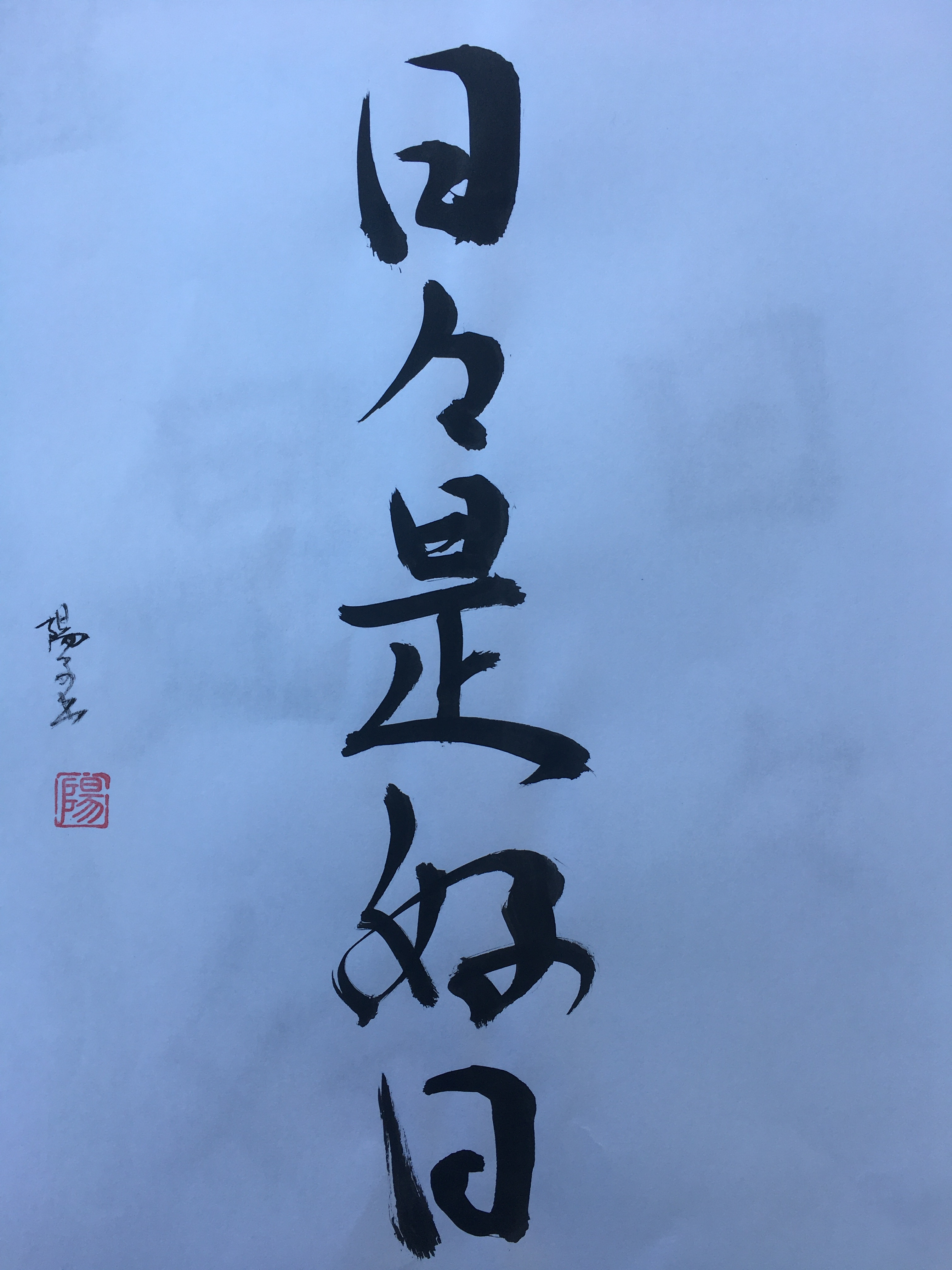 nichi nichi kore koujitsu