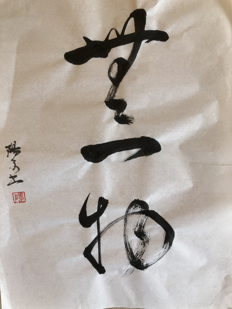 muichimotsu par Yoko Amiel