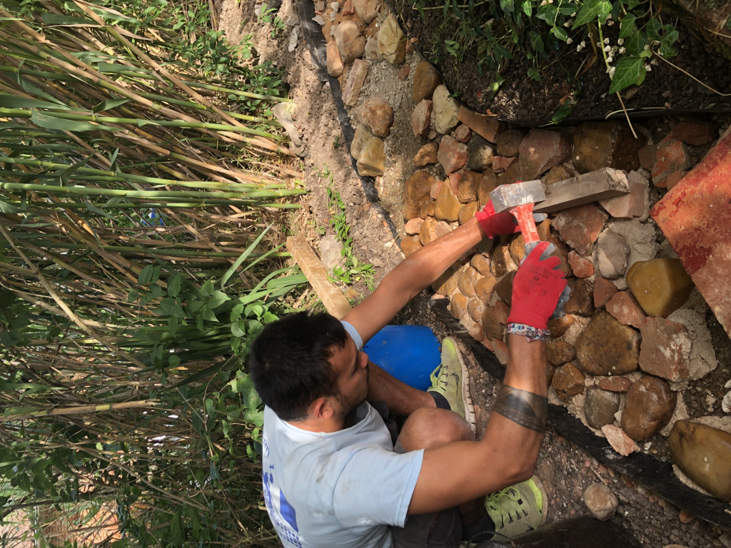 4C03A15C-2EF4-4D05-AA14-47D1C8F1A574